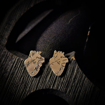 Sterling silver anatomical heart earrings on a dark wooden surface
