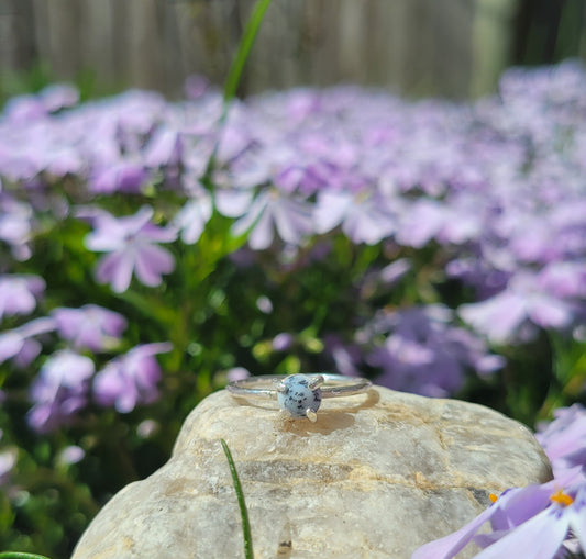Small Speckle